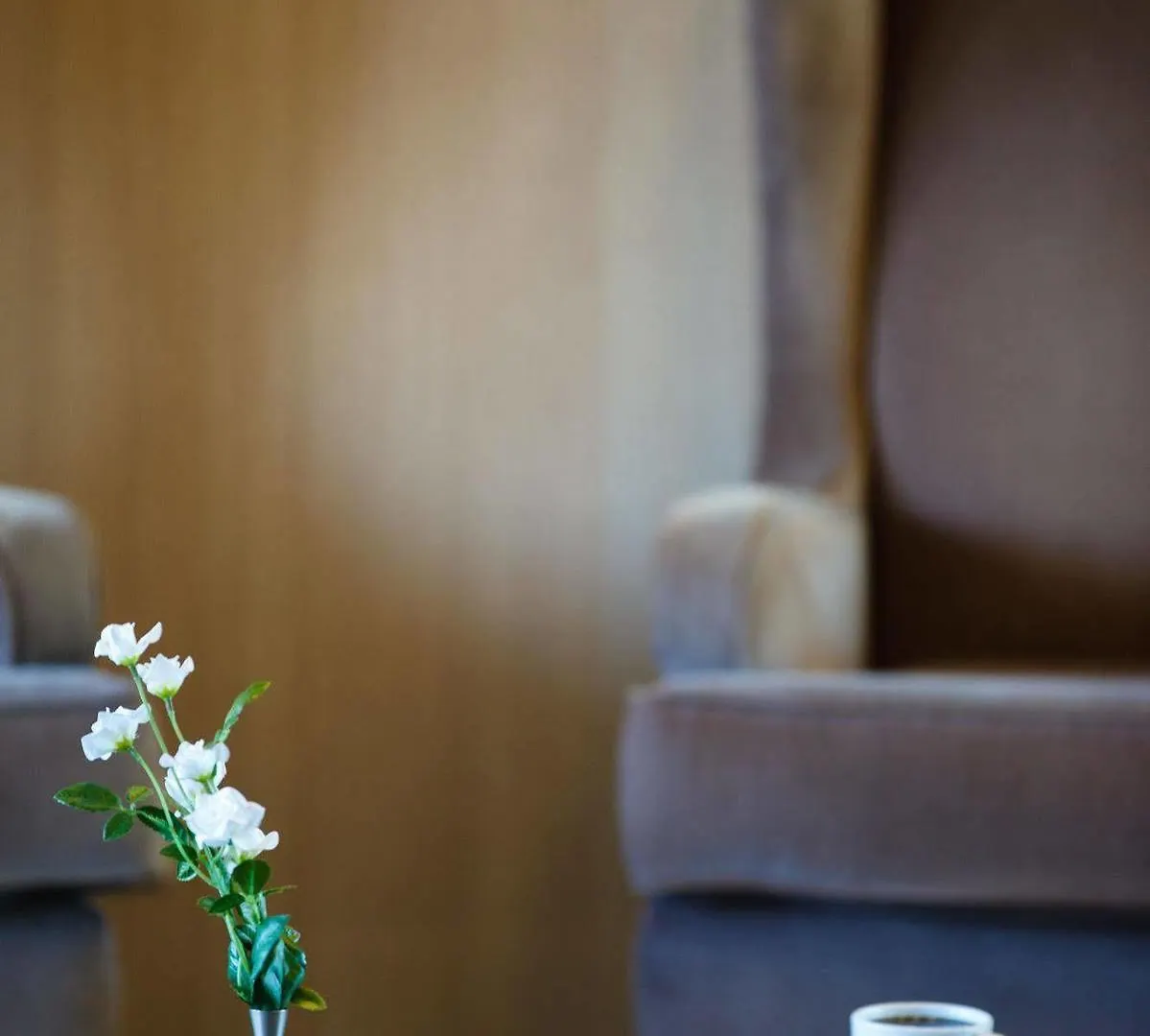 Cruise Hotel Tbilisi 4*,